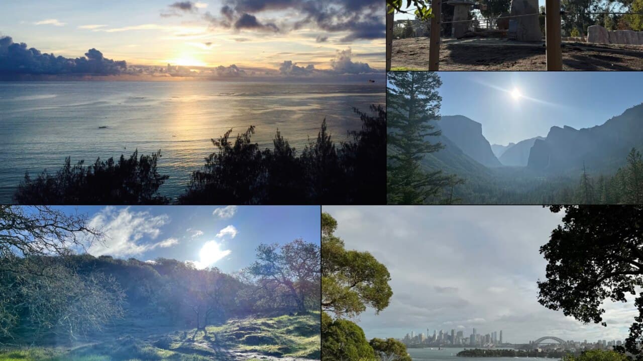 A collage of photos from a recent trip